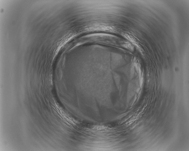 X0000057570399200510171648