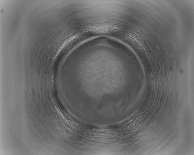 X0000057570400200510171648