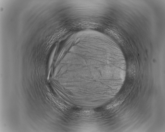 X0000057570402200510171648