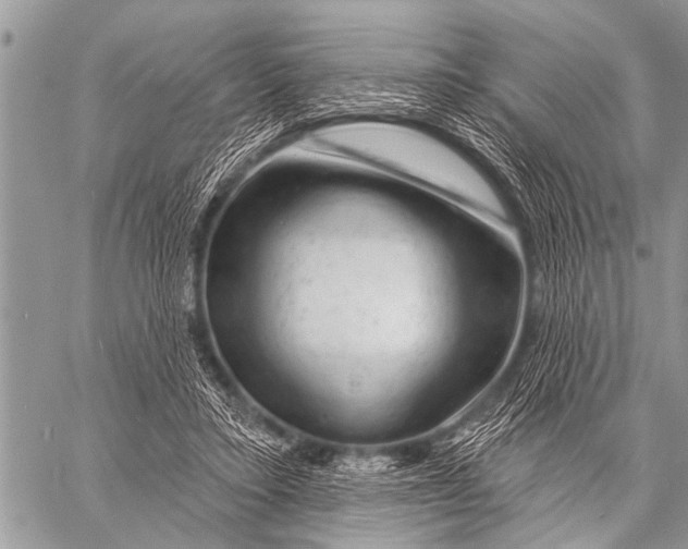 X0000057570403200510171648