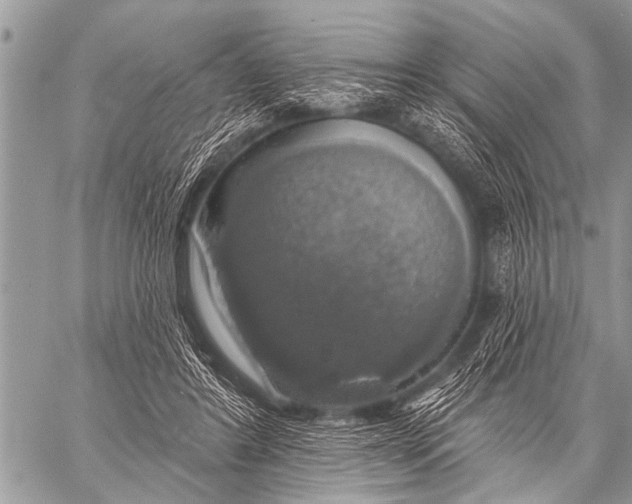 X0000057570404200510171648