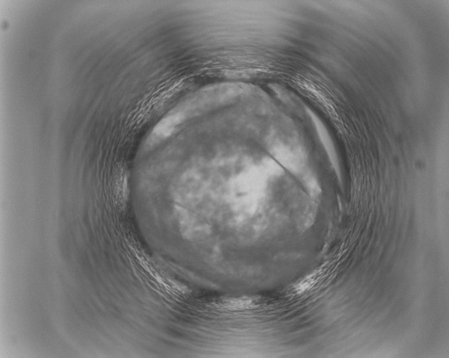 X0000057570405200510171648