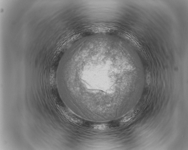 X0000057570411200510171647