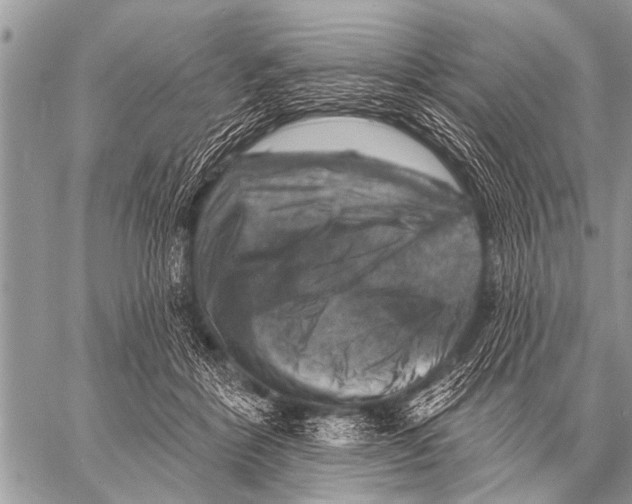 X0000057570412200510171647