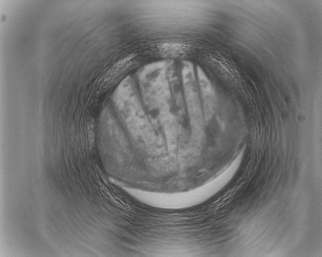 X0000057570413200510171647