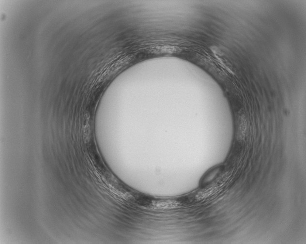 X0000057570414200510171647