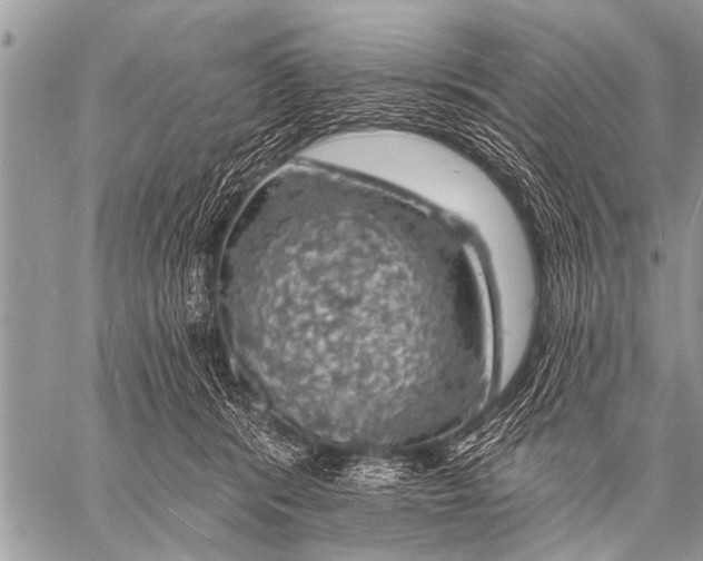 X0000057570416200510171647