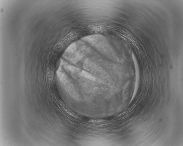 X0000057570417200510171647