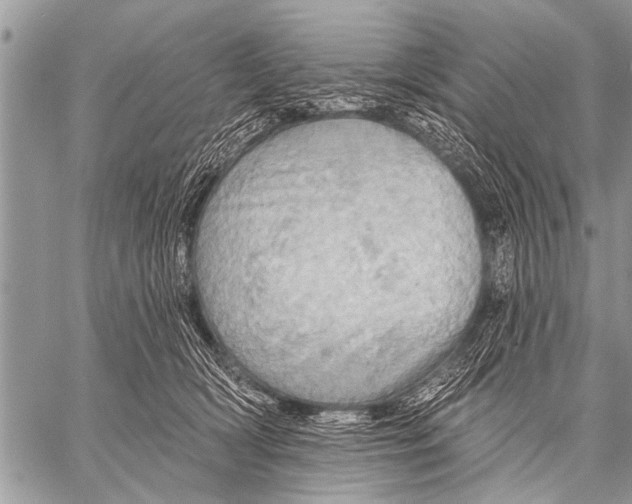 X0000057570418200510171647