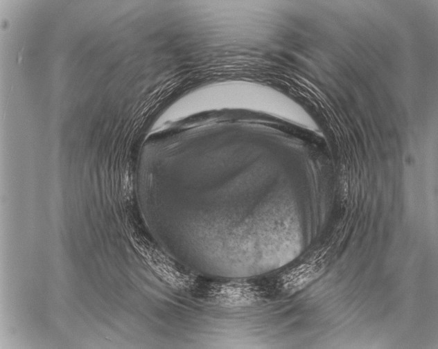 X0000057570420200510171647