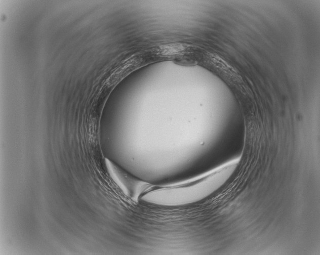 X0000057570421200510171647