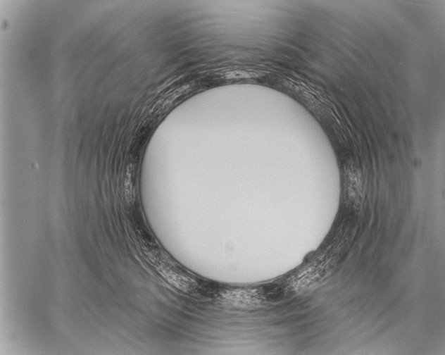 X0000057570422200510171647