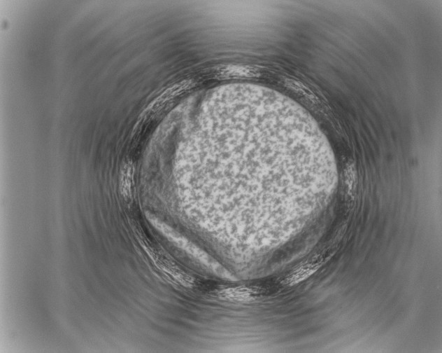 X0000057570423200510171647