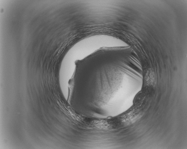 X0000057570424200510171647