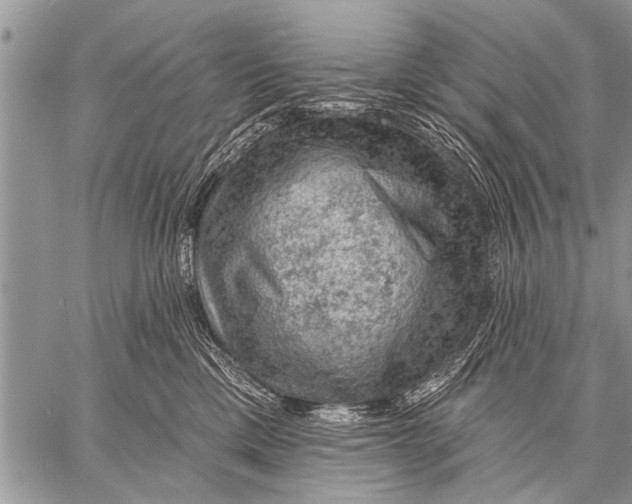 X0000057570425200510171647