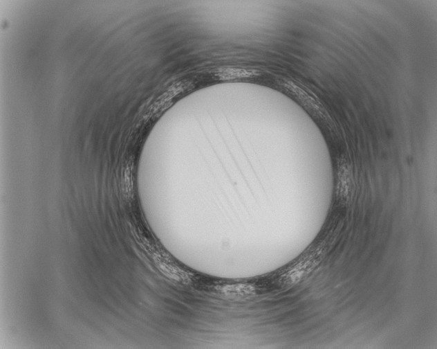 X0000057570426200510171647