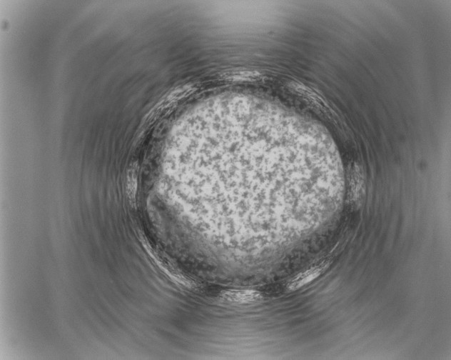 X0000057570427200510171647