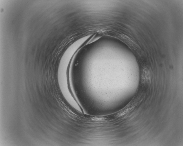 X0000057570428200510171647