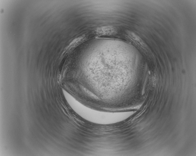 X0000057570429200510171647