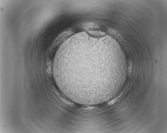 X0000057570430200510171647