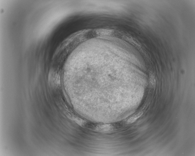 X0000057570431200510171647