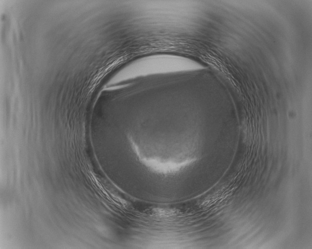 X0000057570442200510171647