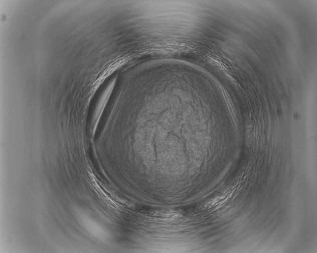 X0000057570443200510171647