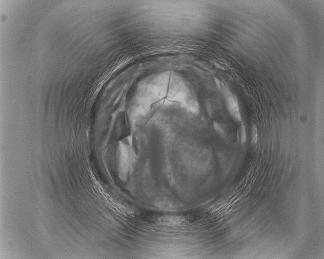 X0000057570444200510171647