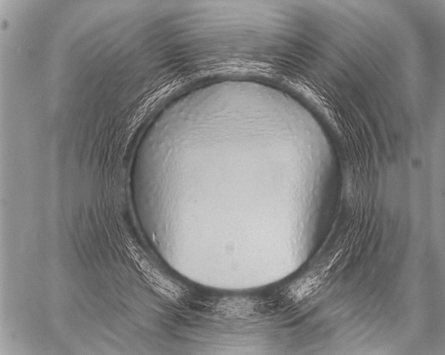 X0000057570445200510171647