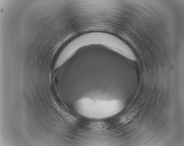 X0000057570446200510171647