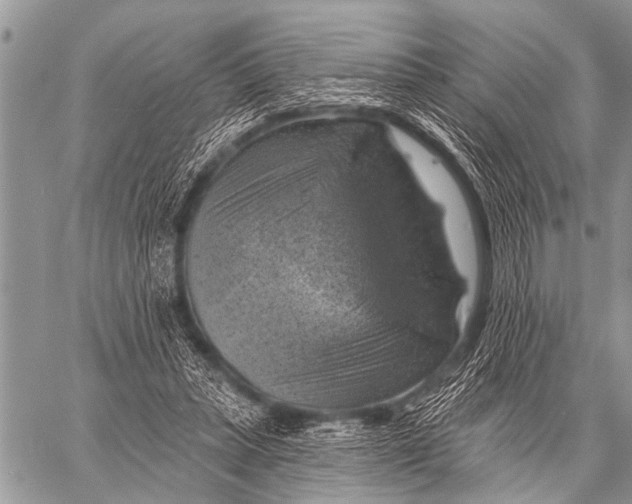 X0000057570447200510171647