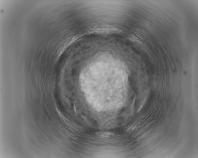 X0000057570448200510171647