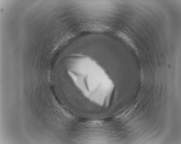 X0000057570449200510171647