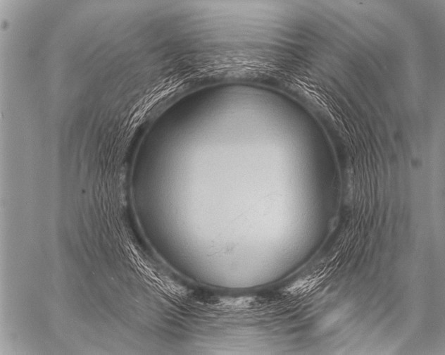 X0000057570450200510171647