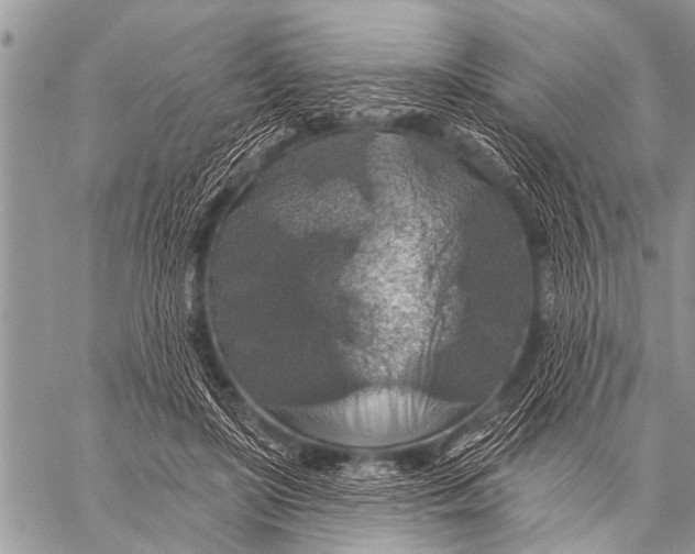 X0000057570451200510171647