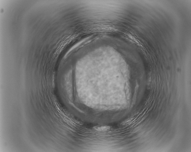 X0000057570452200510171647