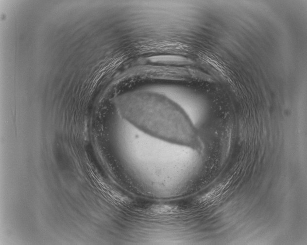 X0000057570453200510171647