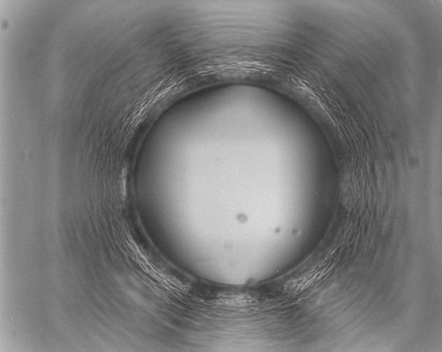 X0000057570454200510171647