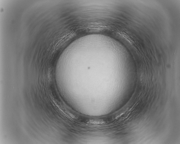 X0000057570455200510171647