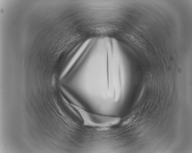 X0000057570456200510171647