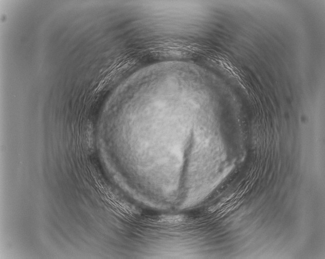 X0000057570457200510171647