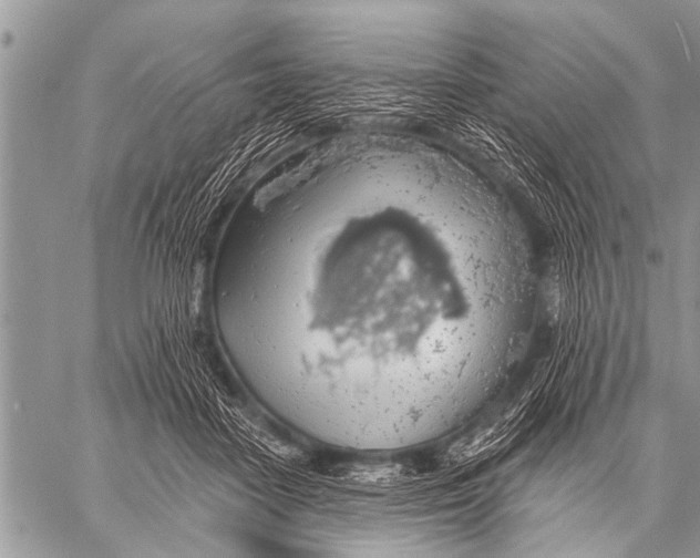 X0000057570458200510171647