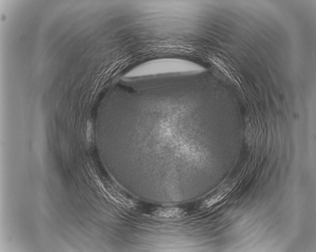 X0000057570459200510171647