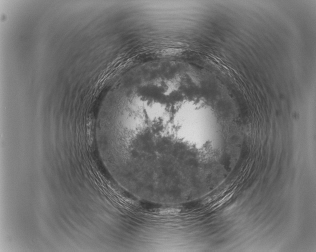 X0000057570462200510171647