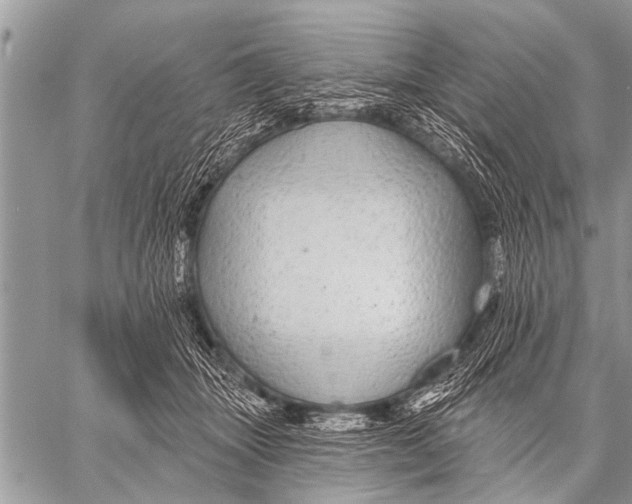 X0000057570463200510171647