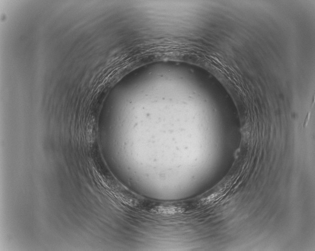 X0000057570464200510171647