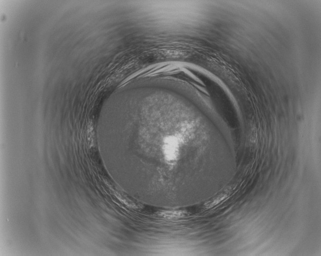 X0000057570465200510171647