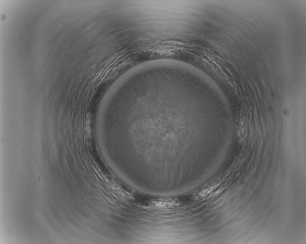 X0000057570466200510171647