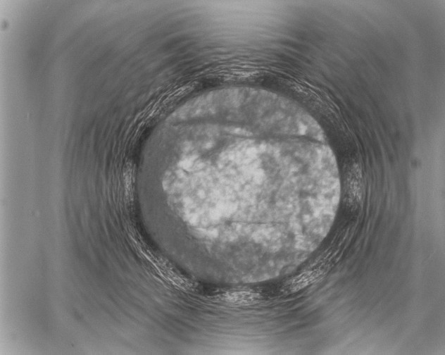 X0000057570468200510171647