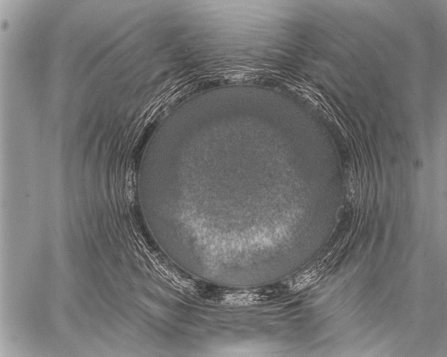 X0000057570470200510171647